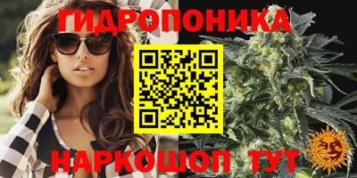 гидра Татарск